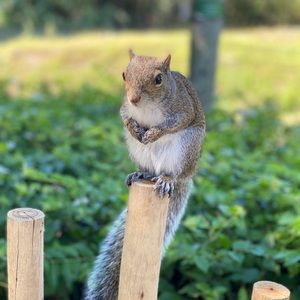 Meet your Posher, Zhou